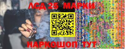 apvp Канаш