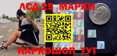 СК Кингисепп