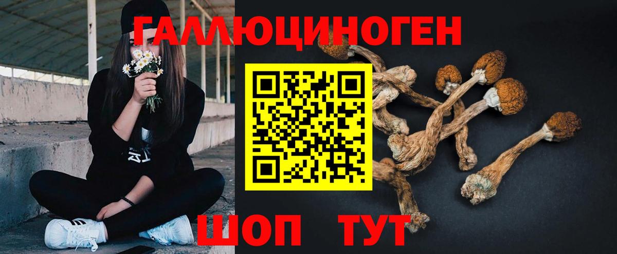 Галлюциногенные грибы Psilocybe  дарнет шоп  Кропоткин  Вход с VPN 